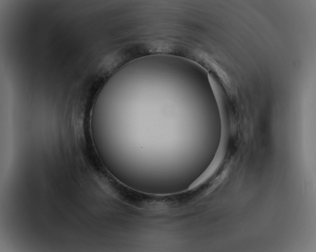 X0000088230209200705151459