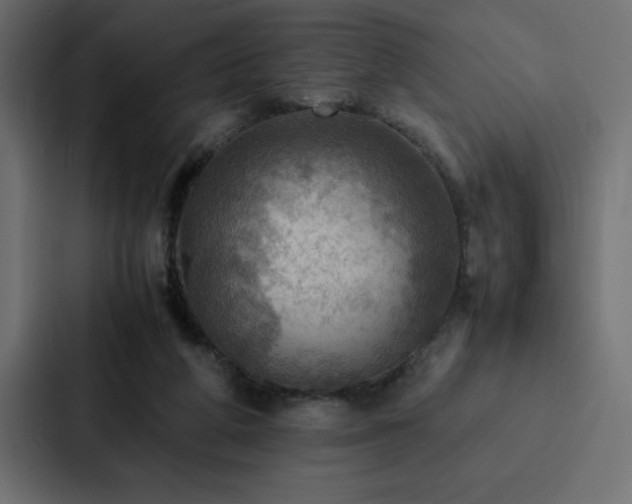 X0000088230210200705151459