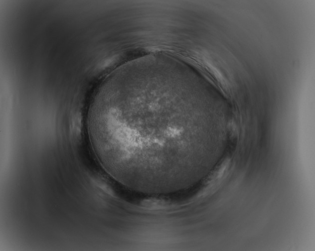 X0000088230211200705151459