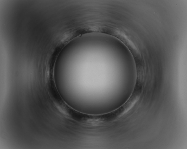 X0000088230213200705151459