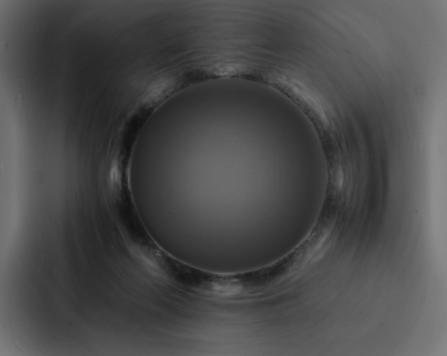 X0000088230214200705151459