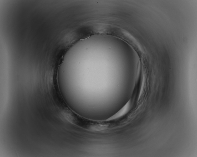 X0000088230217200705151459