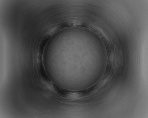 X0000088230218200705151459