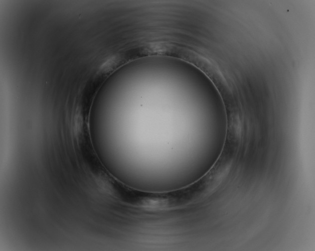 X0000088230220200705151459