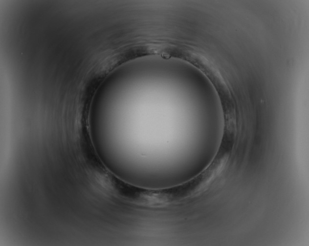 X0000088230221200705151459