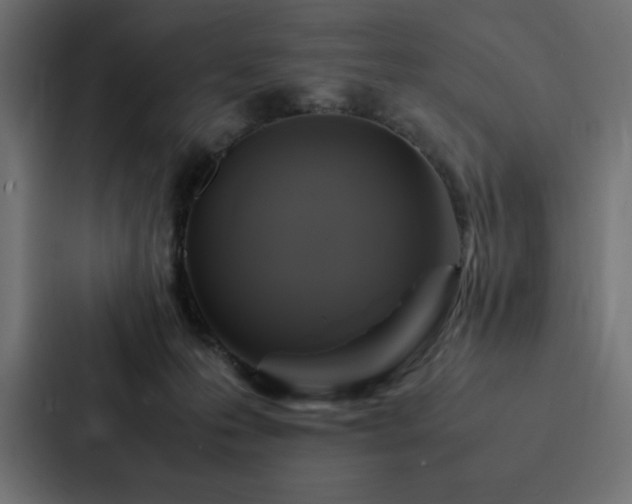 X0000088230223200705151459