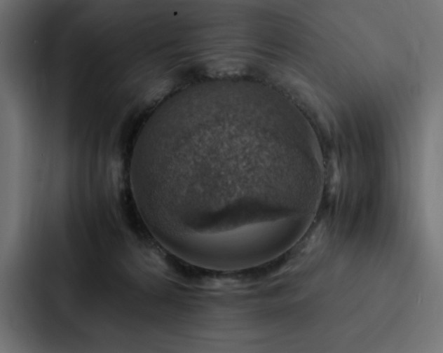 X0000088230224200705151459