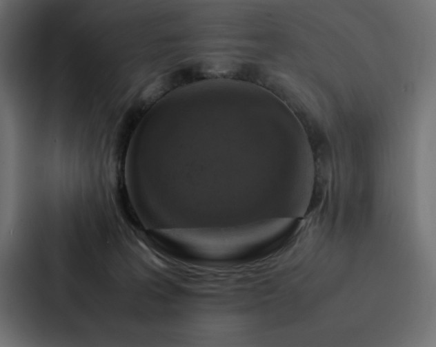 X0000088230227200705151459
