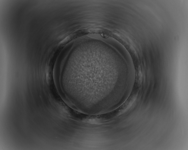 X0000088230228200705151459