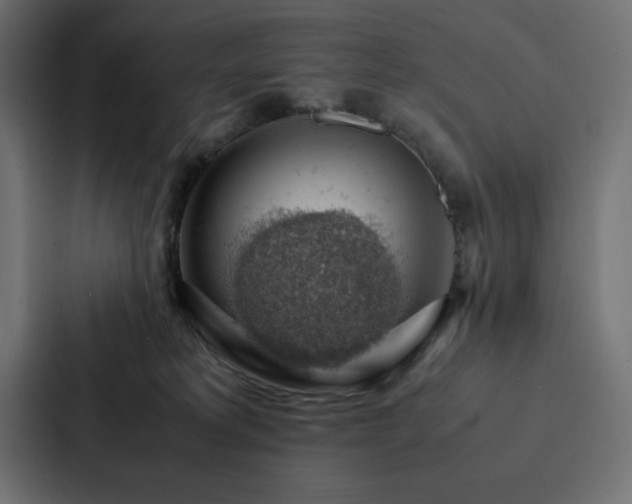 X0000088230229200705151459