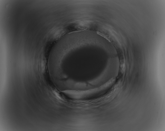 X0000088230231200705151459