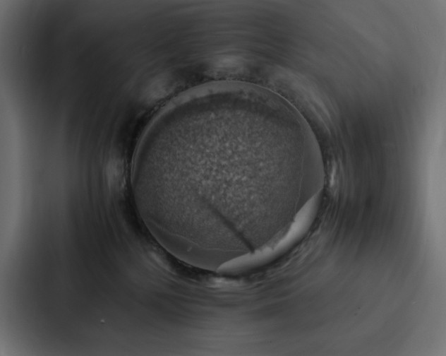 X0000088230232200705151459
