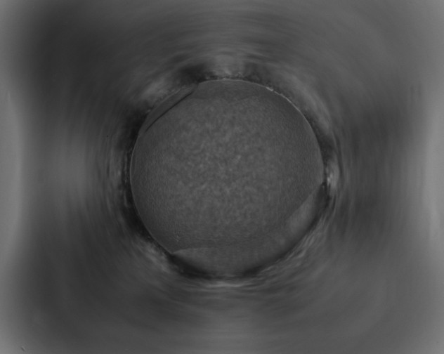 X0000088230233200705151459