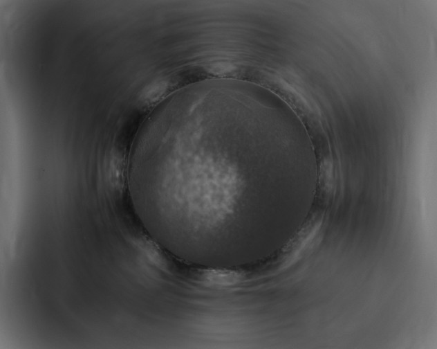 X0000088230234200705151459