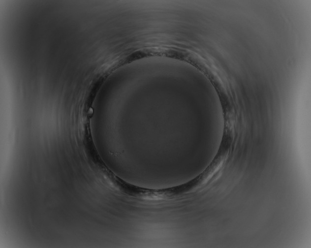 X0000088230235200705151459