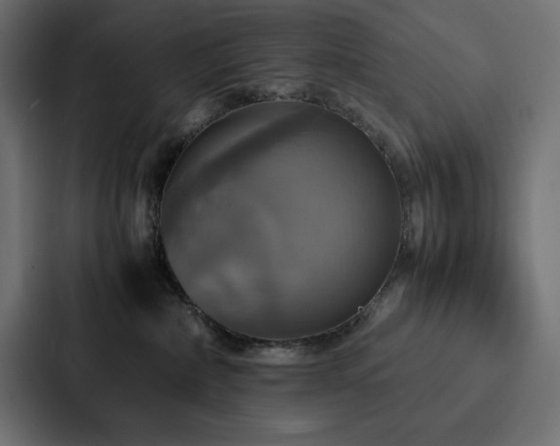 X0000088230236200705151459