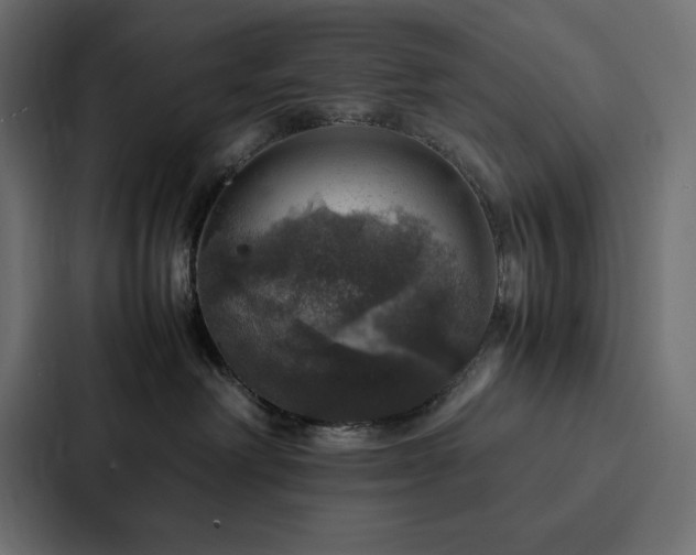 X0000088230238200705151459