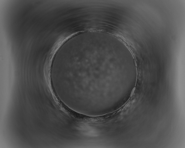X0000088230241200705151458