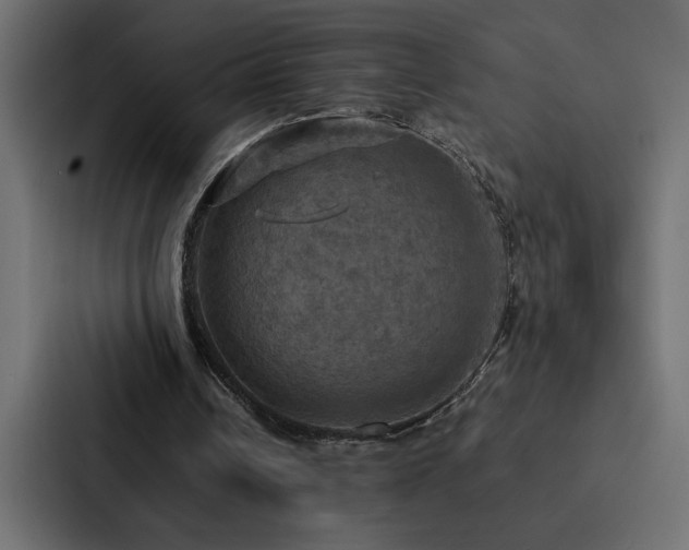 X0000088230242200705151458