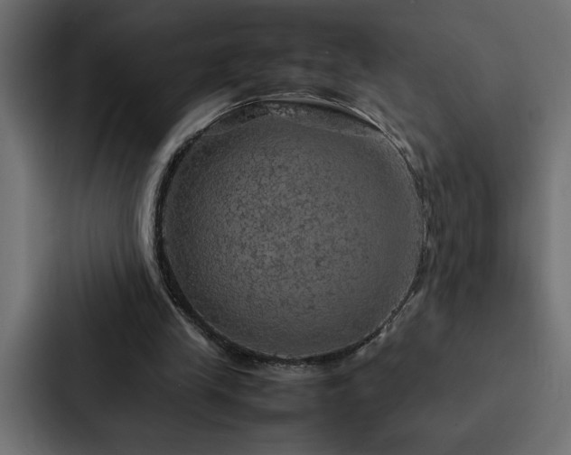 X0000088230245200705151458