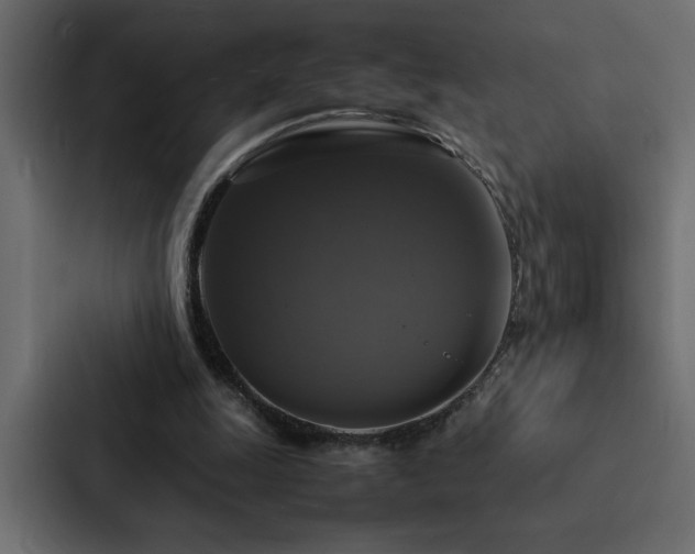 X0000088230247200705151458