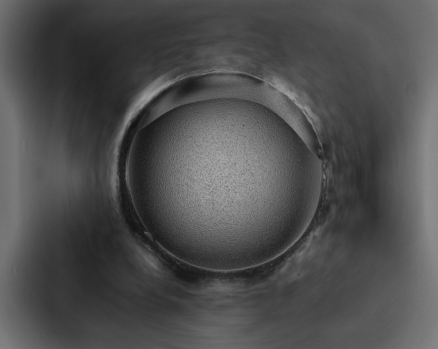X0000088230248200705151458