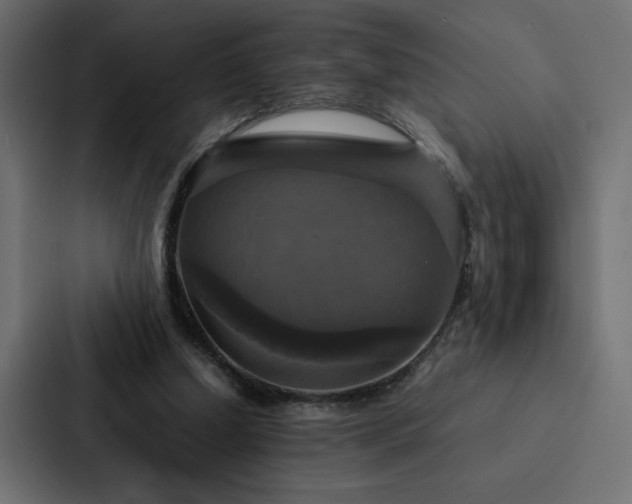 X0000088230250200705151458