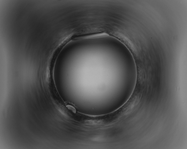 X0000088230251200705151458