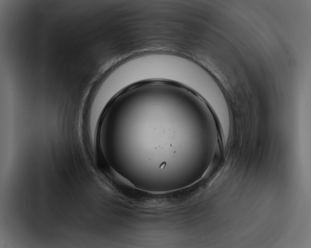 X0000088230252200705151458