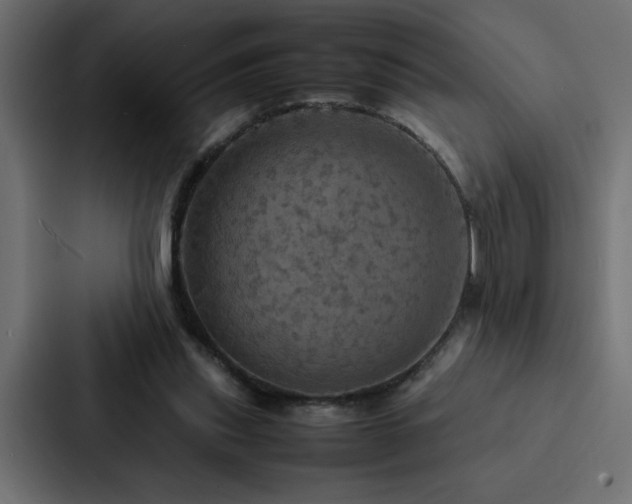 X0000088230253200705151458