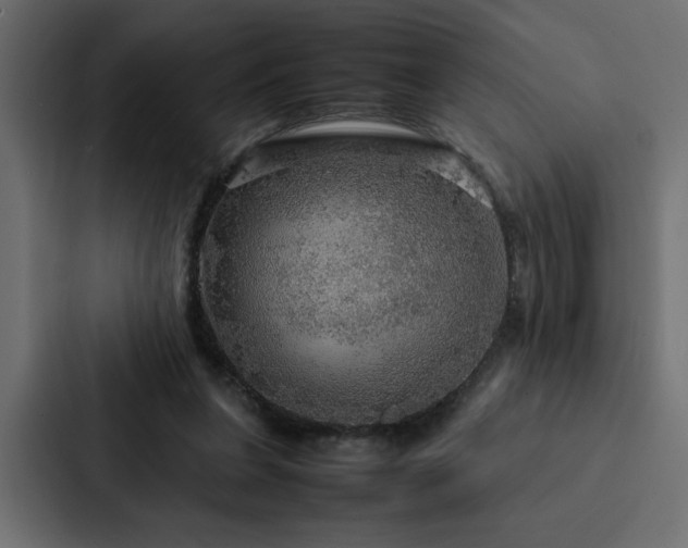 X0000088230255200705151458
