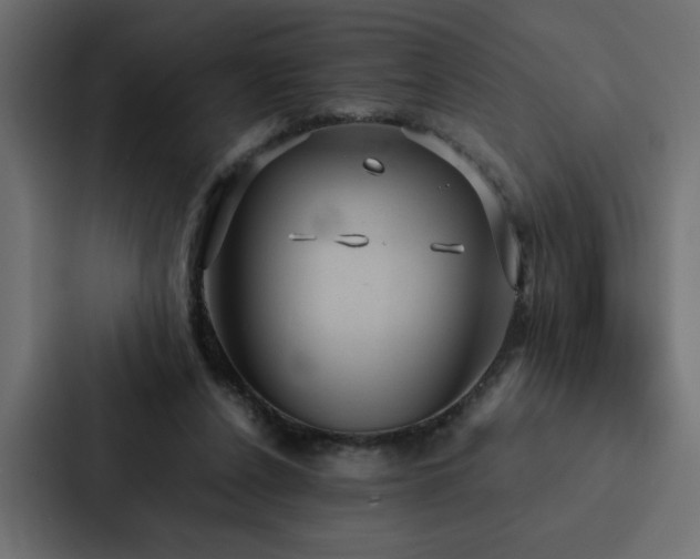X0000088230256200705151458