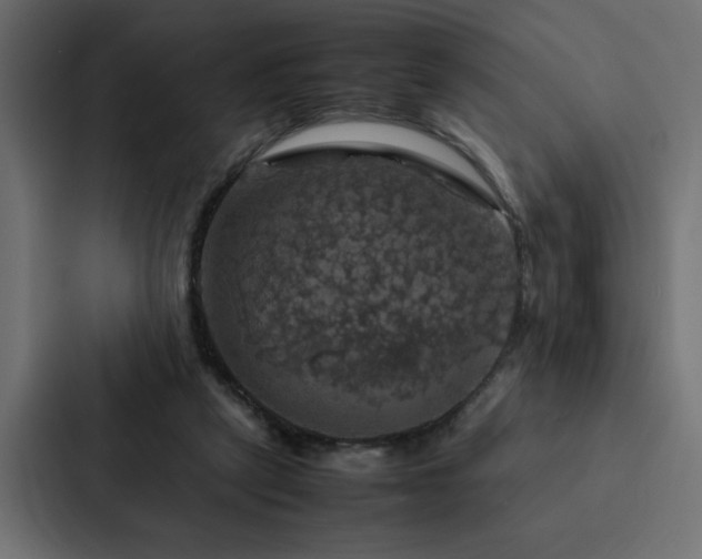 X0000088230257200705151458