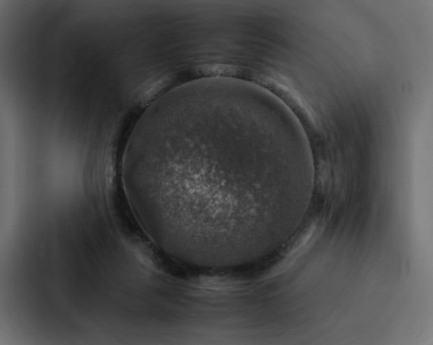 X0000088230259200705151458