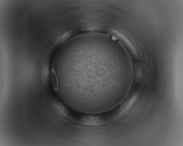 X0000088230260200705151458