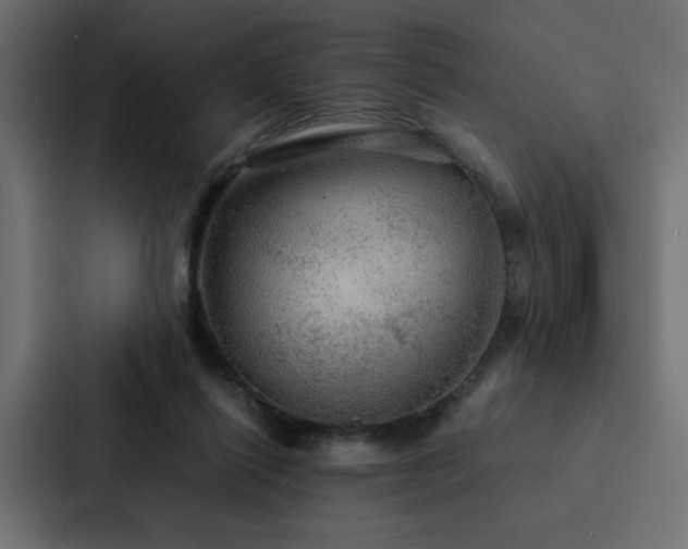 X0000088230262200705151458