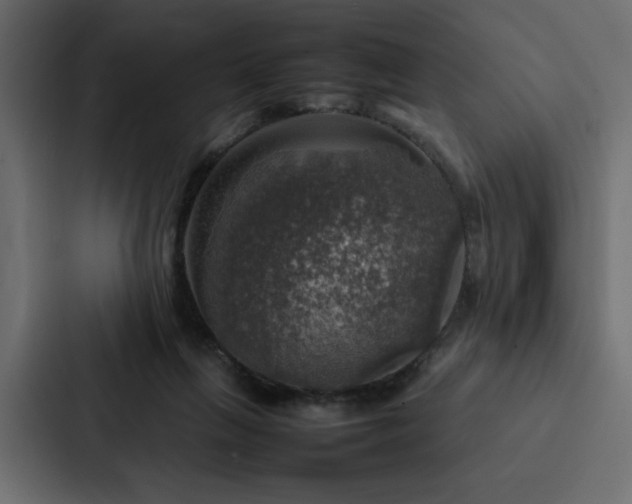 X0000088230263200705151458