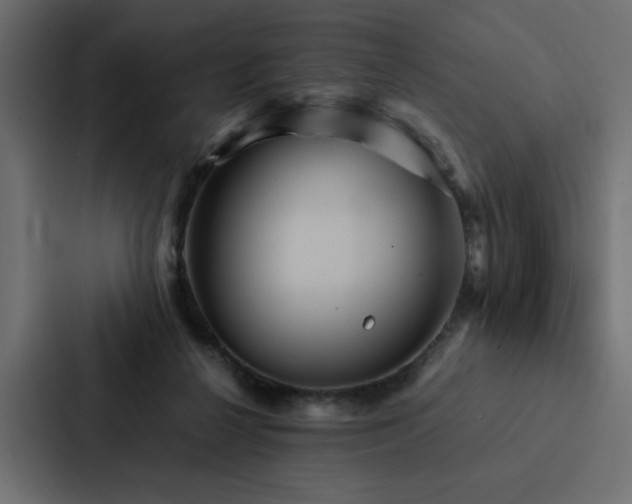 X0000088230264200705151458