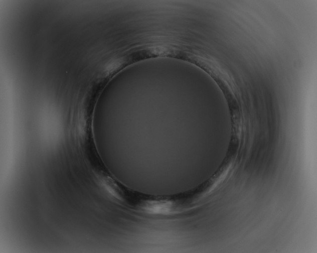 X0000088230266200705151458
