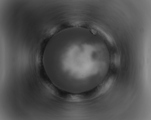 X0000088230268200705151459