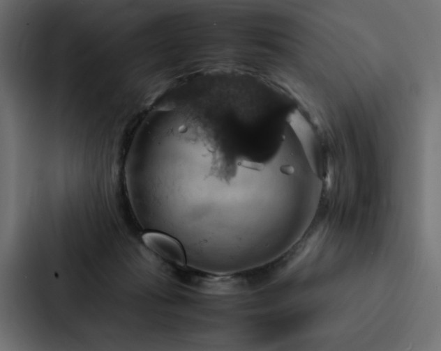 X0000088230269200705151459