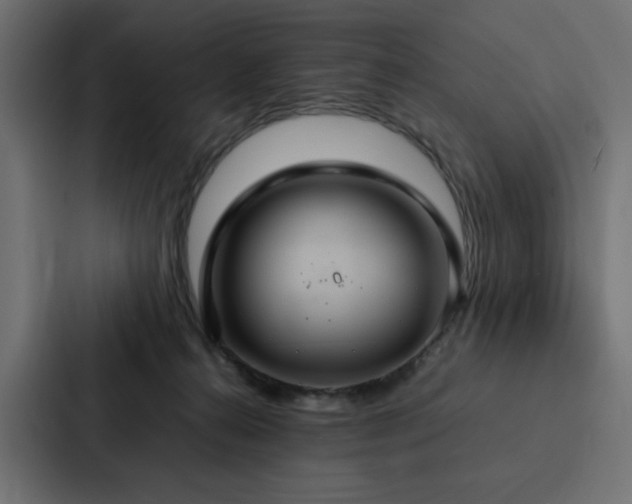 X0000088230272200705151459