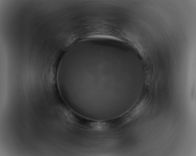 X0000088230273200705151459