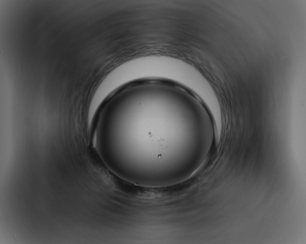 X0000088230276200705151459