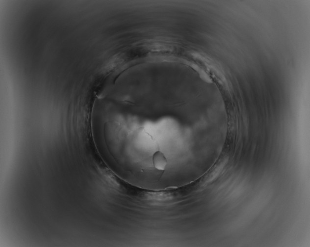 X0000088230281200705151459