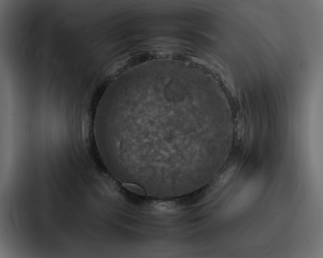 X0000088230283200705151459