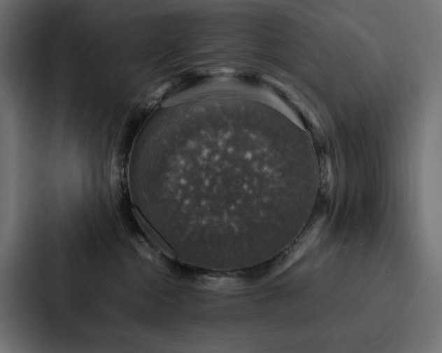 X0000088230284200705151459
