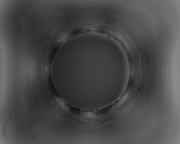 X0000088230285200705151459