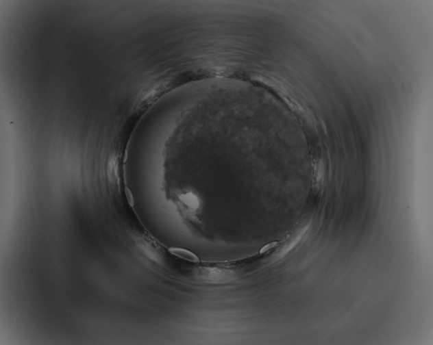 X0000088230286200705151459