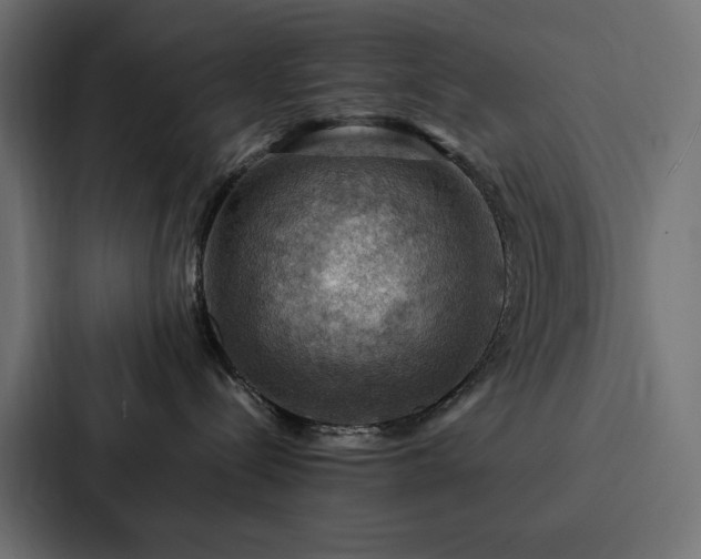 X0000088230288200705151459
